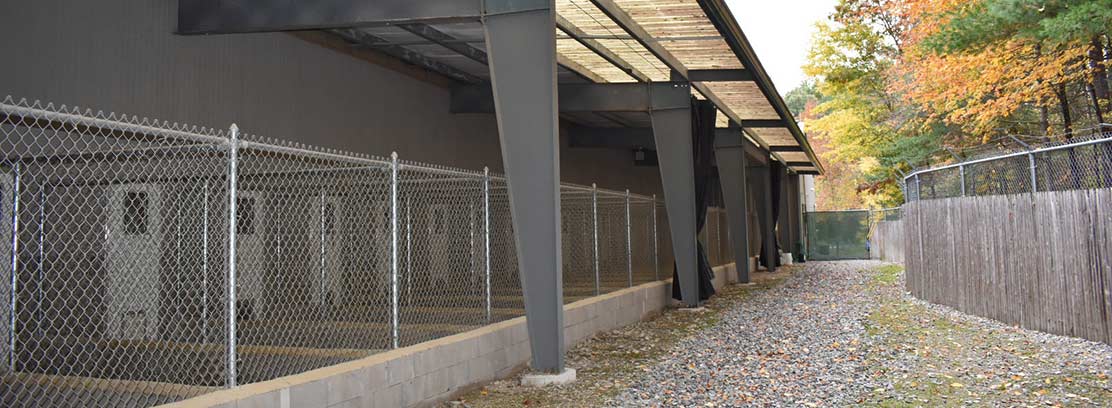 Indoor - Outdoor Kennel Run